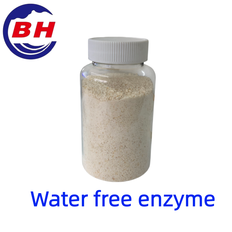 Enzima libre de agua H8811